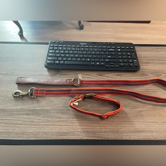 Dog collar and leash - Picture 5 of 9